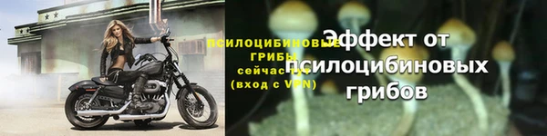 ешки Каменка