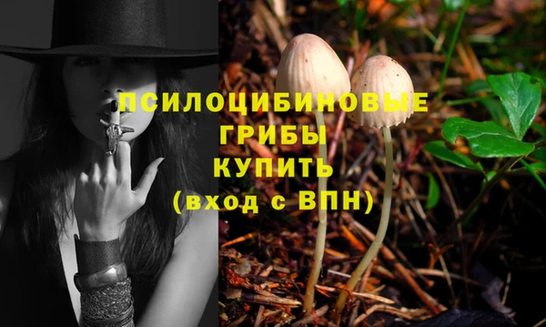 прущая мука Карпинск