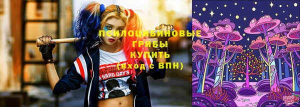 ешки Каменка