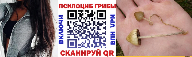 Галлюциногенные грибы Psilocybine cubensis  hydra ССЫЛКА  Кинешма 