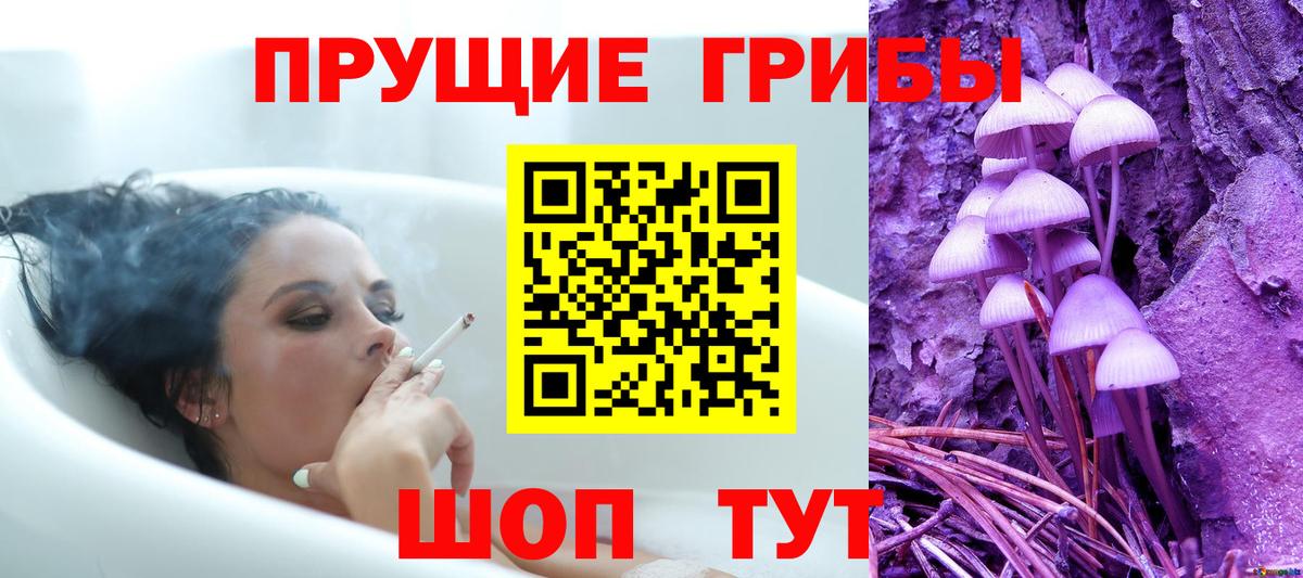 Псилоцибиновые грибы Magic Shrooms  Вход с VPN  Кинешма 