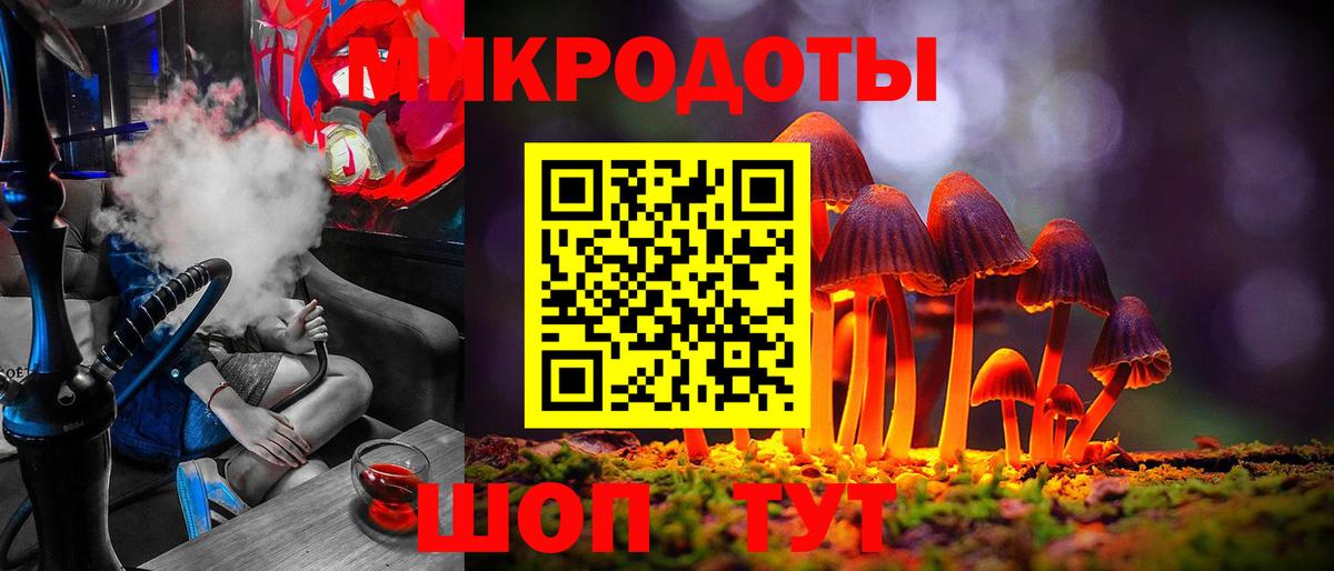 Псилоцибиновые грибы Psilocybe Кинешма